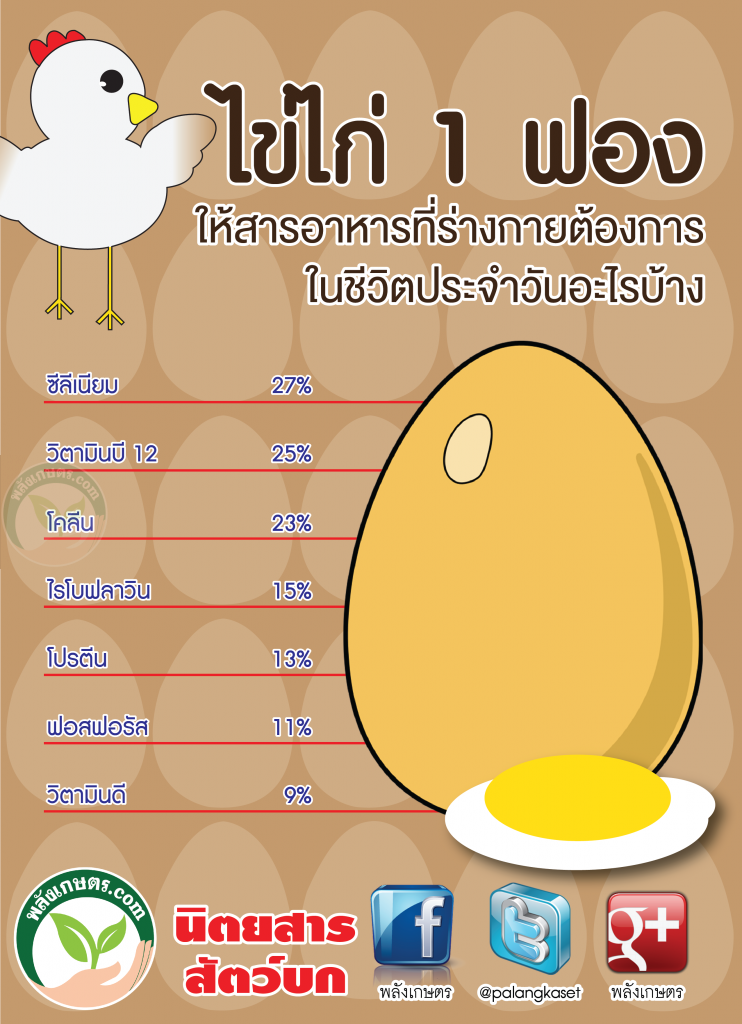 002 ประโยชน์ของไข่