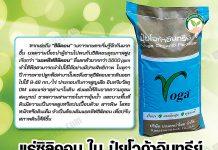 แร่ ซิลิคอน ใน ปุ๋ยโวก้าอินทรีย์ เพิ่มสมรรถนะดินและพืชให้แข็งแรง