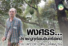 พงศธร… ปราชญ์ ทุเรียน อินทรีย์เคมี รวย เพราะทำ “ต้น” ให้สมบูรณ์