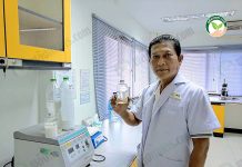 อาจารย์มานพแนะวิธีใช้ ปุ๋ย เพื่อเพิ่มผลผลิตทุเรียน 3.ทุเรียน3