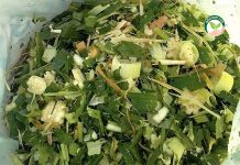 ข้าวโพดหมัก รุ่ง! สัตว์เคี้ยวเอื้องต้องการมาก