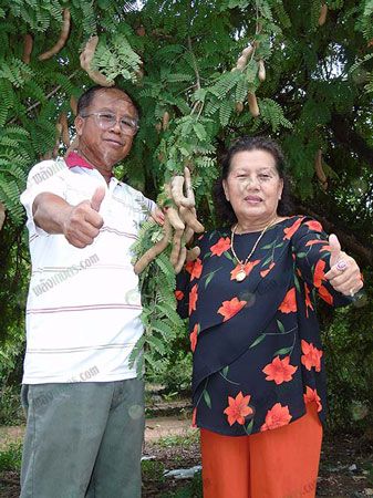 2.คุณบังเอิญ-ซ้าย-ปลูกมะขามเปรี้ยวยักษ์-จ.สระแก้ว-และภรรยา-ขวา
