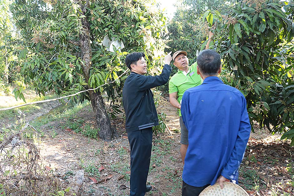 5.เกษตรจังหวัดฉะเชิงเทราติดตามการแพร่ระบาดเพลี้ยไฟของสมาชิก