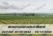 สถานการณ์ข่าว ประจำสัปดาห์ ประจำวันที่ 30/09/2562-04/10/2562 สถานการณ์ข่าว ประจำสัปดาห์ ประจำวันที่ 30 กันยายน-4 ตุลาคม 2562