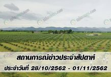 สถานการณ์ข่าวประจำสัปดาห์ ประจำวันที่ 28/10/2562-01/11/2562