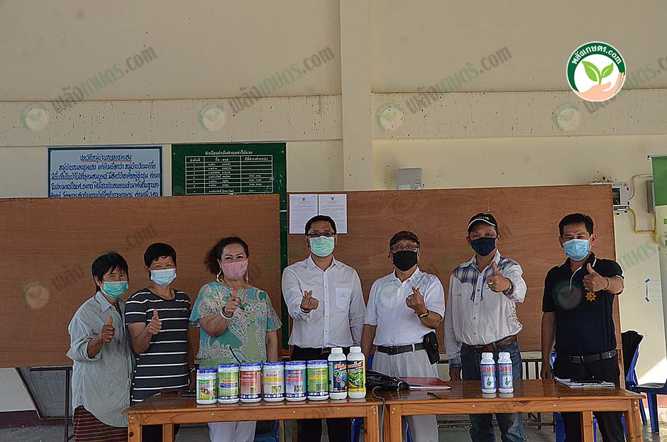 พลังเขียวสร้างชาติ และ 3 ภาคีธุรกิจเกษตร แก้ปัญหาโรคตายพรายในกล้วยให้เกษตรกร
