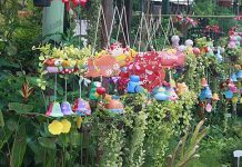 เปิดร้านขายต้นไม้ ไอเดียสวนสำหรับผู้มีพื้นที่จำกัด โดยขยายพื้นที่สีเขียวให้ลอยฟ้าแทน