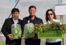 สหกรณ์การเกษตร เมืองลับแลฯ เก่งเรื่องข้าว เดินหน้าปลูกผัก และเมล่อน ในโรงเรือน 1.คุณจวน แก้วกุลศรี (กลาง) ประธานกรรมการบริหารสหกรณ์การเกษตรเมืองลับแล