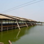 โรงเรือนเลี้ยงไก่ไขแบบเปิด