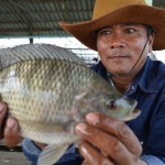 ได้ปลาไซส์ใหญ่คุณภาพ