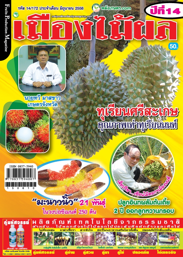 นิตยสารเมืองไม้ผลฉบับ172ประจำเดือนมิถุนายน 58