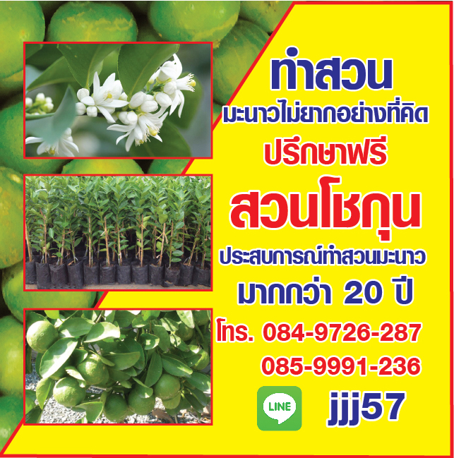 สวนโชกุน 084-9726-267