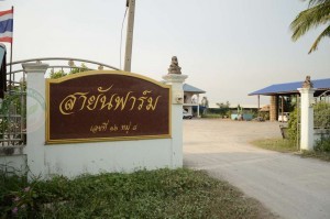 สายันฟาร์ม