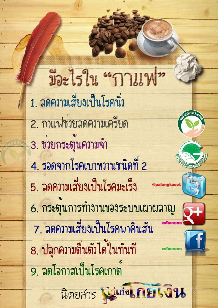 ประโยชน์ของกาแฟ