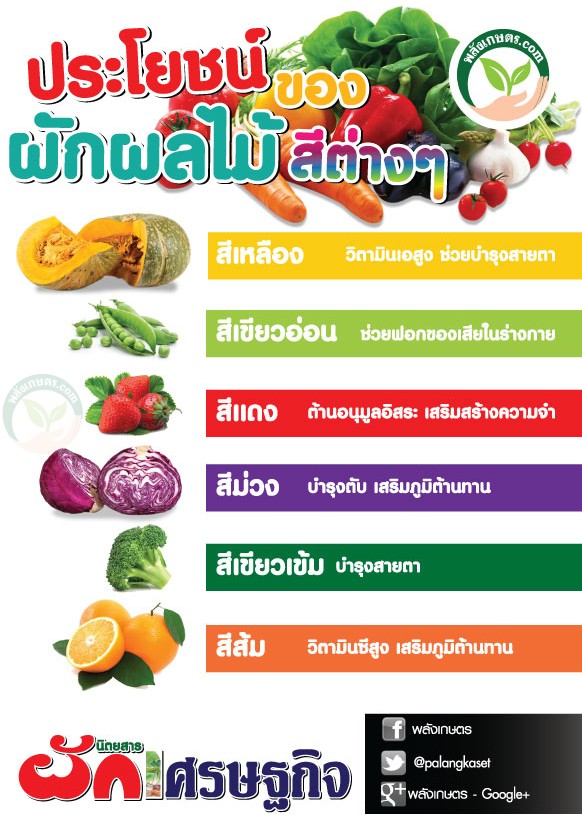 ประโยชน์ของผักผลไม้