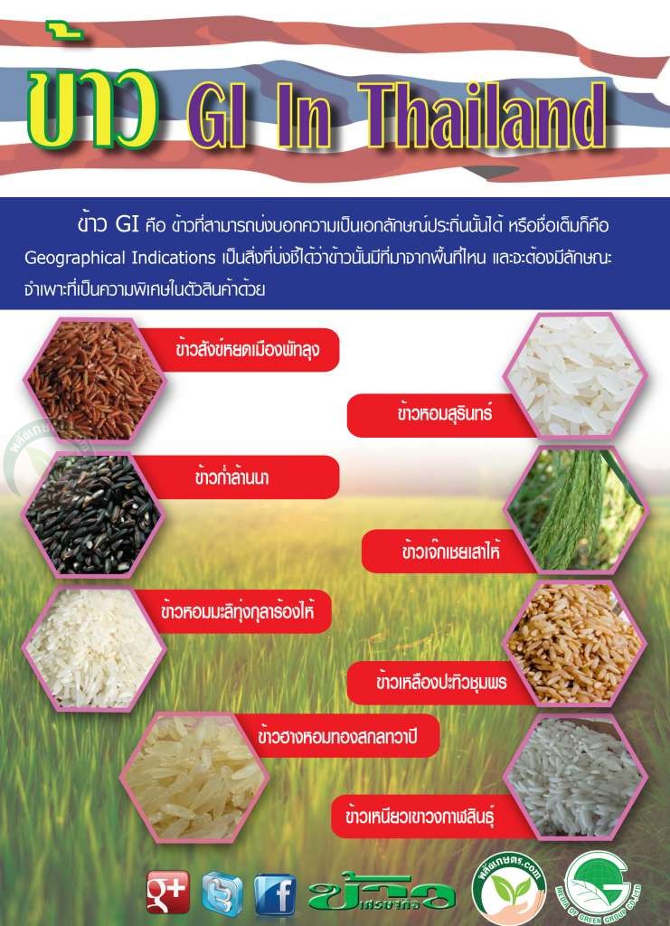 ข้าว GI ประเทศไทย