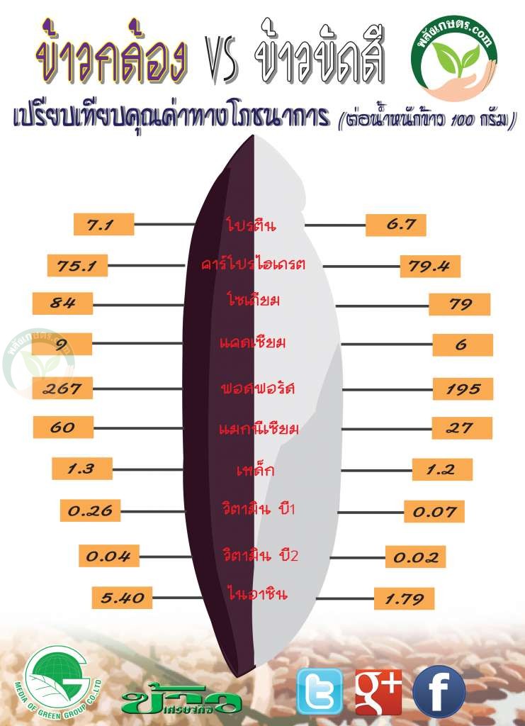 ข้าวกล้อง กับ ข้าวขาว กินอะไรดี