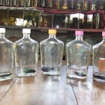 การ อนุบาลลูกปลา