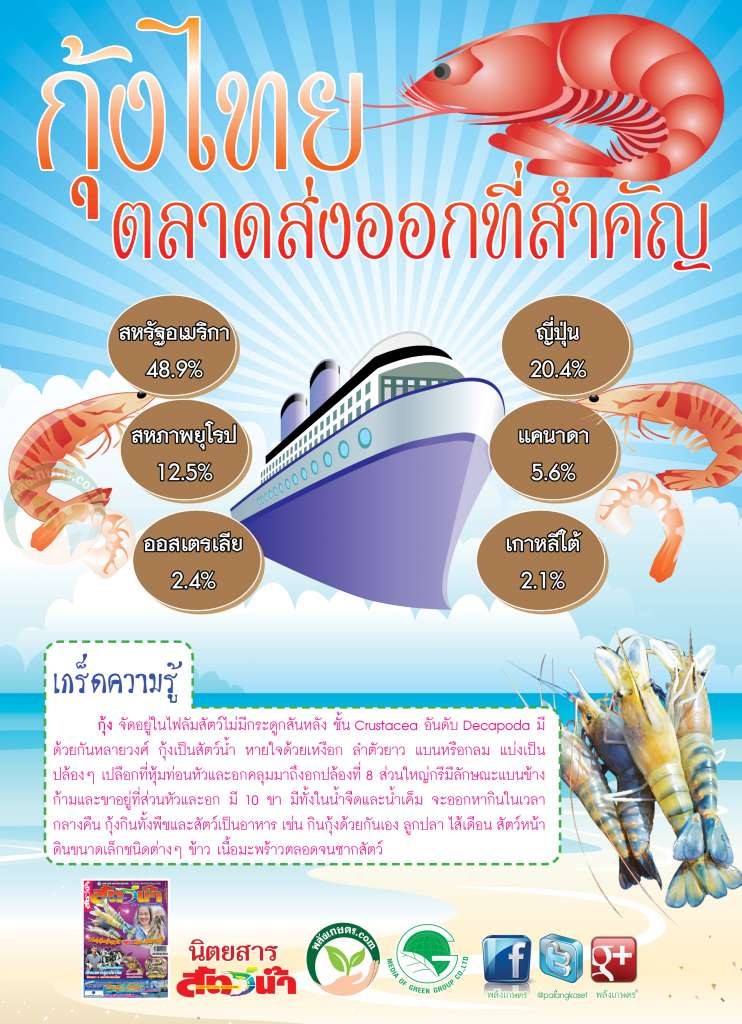 ส่งออก กุ้งไทย สินค้าส่งออกของไทย