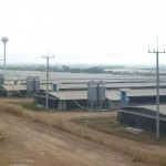 โรงเรือนแล้วเสร็จ (2)