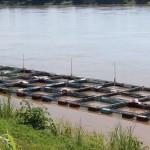 กระชังเลี้ยงปลาแม่น้ำโขง