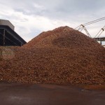 การจัดการผลผลิตในโรงแป้ง