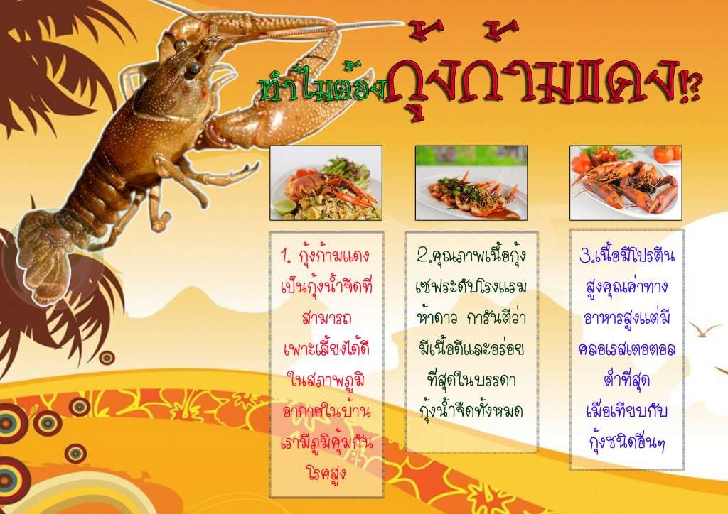 ทำไมต้อง กุ้งก้ามแดง