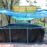 ลักษณะบ่อพีอี ที่ใช้ในการเลี้ยงกบ