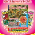 สมาชิก ไม้ดอกไม้ประดับ