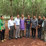 คณะจากกัมพูชา เข้ามาศึกษาสวนยางระบบเจาะ