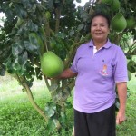 คุณอัมพรโชว์ผลส้มโอด้วยความภูมิใจ