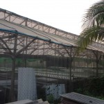 โรงเรือน ปลูกผักไร้ดิน