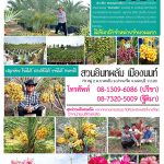 สวนปรีชา