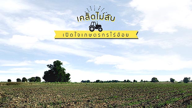 ระบบน้ำหยด ไร่อ้อย