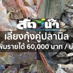 เครื่องเติมอากาศบ่อปลา
