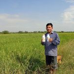 เพราะความกล้าที่จะเสาะหาเทคนิคใหม่ ในการลดต้นทุน และเพิ่มผลผลิตข้าว