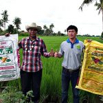 แปลงสาธิตของบริษัท กลุ่มศักดิ์สยาม