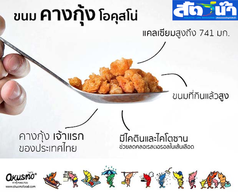 คางกุ้ง Okusno คางกุ้งทอดอร่อย เจ้าแรกของไทย (รับซื้อคางกุ้ง) - พลังเกษตร.com