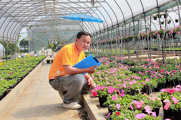คุณอาทิตย์ จองแดง นักปรับปรุงพันธุ์ไม้ดอกไม้ประดับ