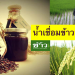 น้ําเชื่อม organic จาก ข้าวไทยพื้นเมือง