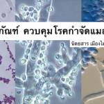 3 ชีวภัณฑ์ ควบคุมโรคกำจัดแมลง ไร้สารตกค้าง 100%