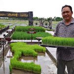 เฮียใช้ กระบวนการผลิตเมล็ดพันธุ์