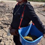 3.แร่ธาตุและอาหารที่เลือกใช้