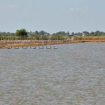 5.น้ำคือปัจจัยสำคัญในการเพาะเลี้ยงกุ้ง