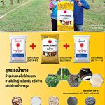 Ad-ดวงตะวันเพชร1