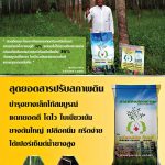 Ad-ดวงตะวันเพชร2