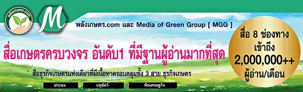 about-us-gif1