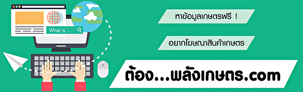เกี่ยวกับเรา 2