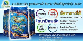 สารปรับสภาพดิน-สูตรปรับสภาพน้ำ-ชีวภาพ-“เพื่อแก้ปัญหาบ่อกุ้ง-บ่อปลา”-อย่างยั่งยืน