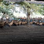13.การป้องกันโรคระบาดในเป็ดไข่